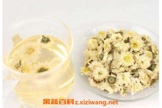 白菊花 白菊花的功效与作用 白菊花的药用价值 果蔬百科全说zweb Xiziwang Net