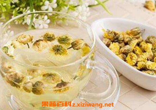 白菊花茶的功效与作用及禁忌 花茶 做法 功效与作用 营养价值z Xiziwang Net