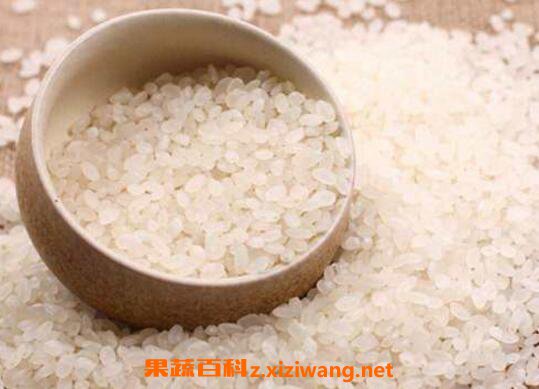 粳米和大米的区别 粳米和大米的食用禁忌
