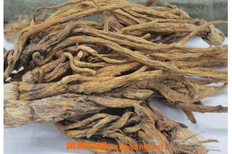 �����ߵĹ�Ч�����ü�ҩ�ü�ֵ