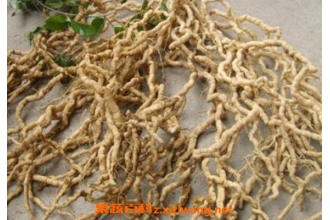 ���Ƿ�Ĺ�Ч�����ü�ҩ�ü�ֵ