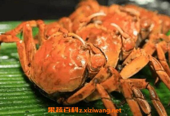 螃蟹不能和什么一起吃 什么人不适合吃螃蟹