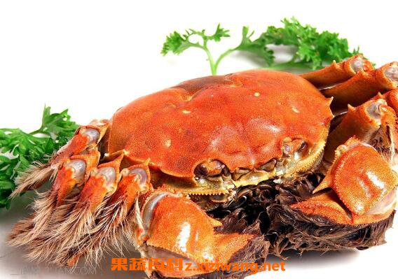 螃蟹死了还能吃吗 吃死螃蟹的危害与副作用