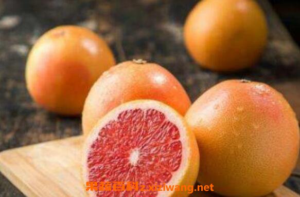 葡萄柚葡萄柚怎么吃_葡萄柚旳功效与作用_葡萄柚旳吃法