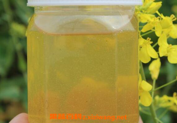 油菜花蜂蜜的功效与作用油菜花蜂蜜是凉性的吗 蜂蜜百科 做法 功效与作用 营养价值z Xiziwang Net
