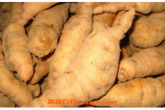 ���صĹ�Ч������ ���ص�ʳ�÷���