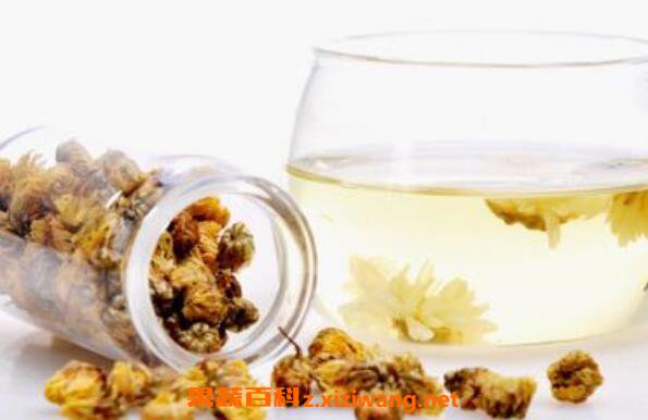 菊花茶旳功效与作用及食用禁忌