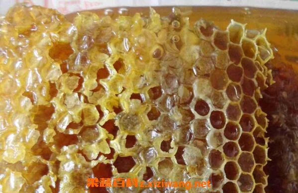 黑蜂巢蜜的作用与功效及食用方法