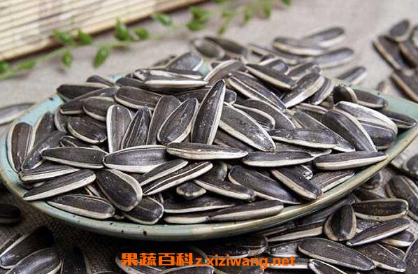 生葵花籽的功效与作用吃生葵花籽的好处 栗子 做法 功效与作用 营养价值z Xiziwang Net