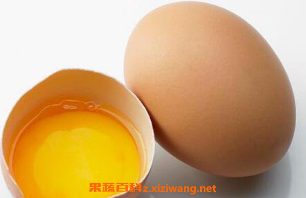 鸡蛋的营养价值 鸡蛋的功效与作用