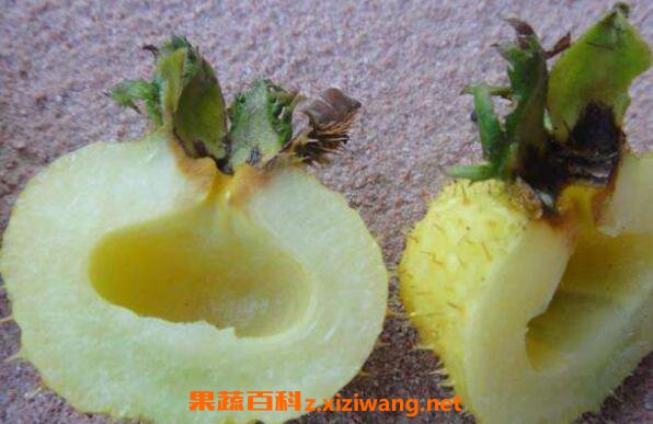 野生刺梨怎么吃 野生刺梨的食用方法