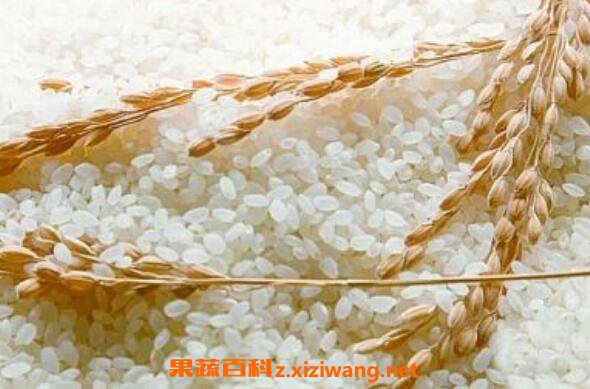 有机大米的功效与作用 有机大米的营养价值