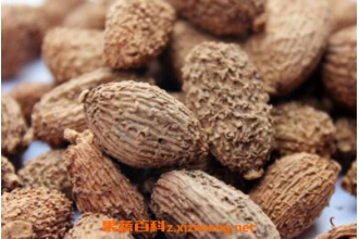 ɰ���ݾƵĹ�Ч������ ɰ���ݾƵ�ҩ�ü�ֵ