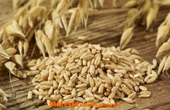 长期吃燕麦的好处 长期吃燕麦的坏处