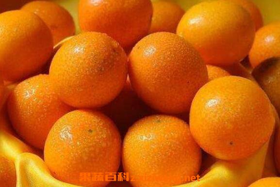 金橘精油的功效与作用