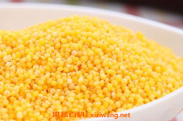 粟米与黍米的区别 粟米的功效