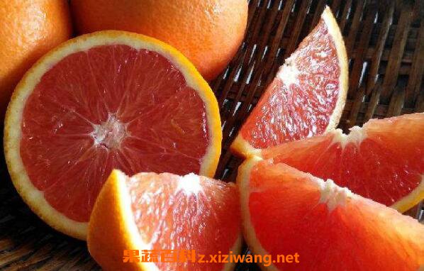 血橙的功效与作用血橙的禁忌 橙子 做法 功效与作用 营养价值z Xiziwang Net