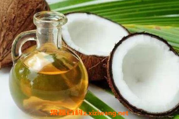 椰子油的危害　椰子油的禁忌