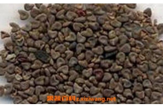 �����ӵ���������;