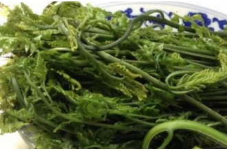 水蕨菜的营养价值 水蕨菜的危害