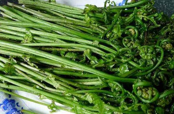 水蕨菜的营养价值 水蕨菜的危害