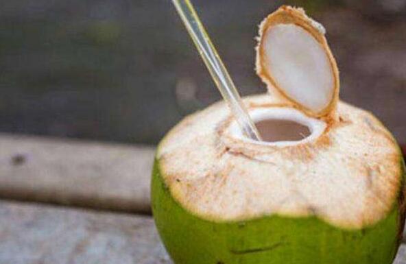 椰子的功效与作用 吃椰子的好处
