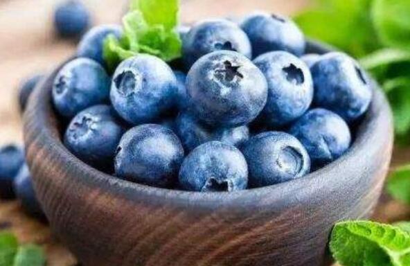 杜松浆果和蓝莓区别 蓝莓的功效与作用