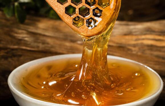 栗子花蜂蜜的功效与作用 吃栗子花蜂蜜的好处