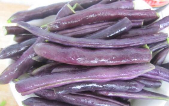 紫芸豆的功效与作用图片