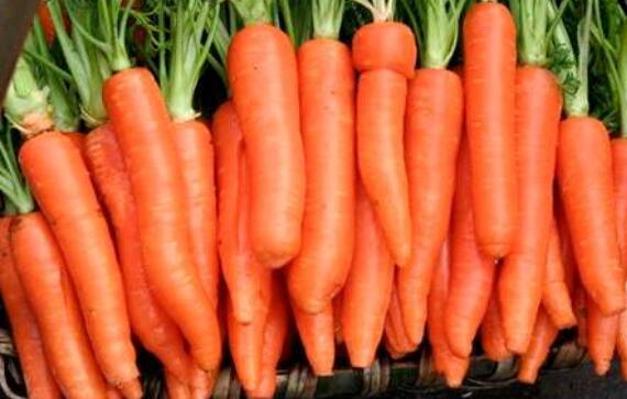 胡萝卜怎么做好吃 胡萝卜的做法儿童爱吃