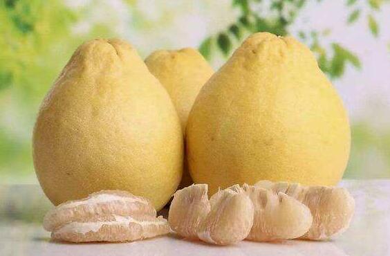 药柚子的功效与作用 柚子 做法 功效与作用 营养价值z Xiziwang Net