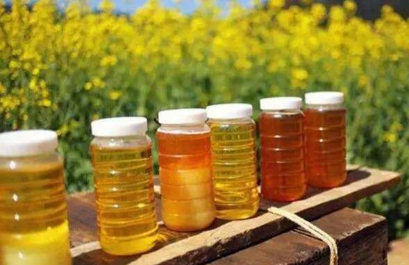 油菜花蜜为什么便宜 油菜花蜜是最差的蜂蜜吗