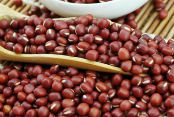 红小豆和赤小豆的区别 红豆 做法 功效与作用 营养价值z Xiziwang Net