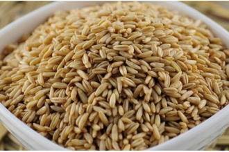 皮燕麦怎么吃 皮燕麦的食用方法大全