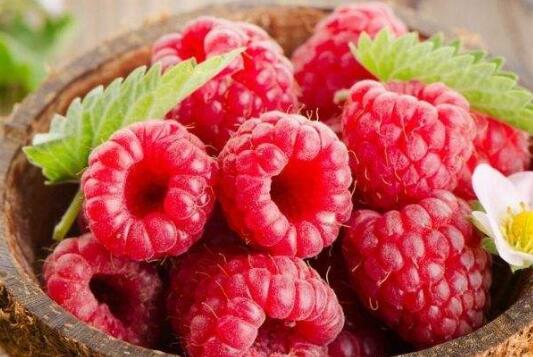 红树莓的功效与作用 红树莓哪个品种口感好