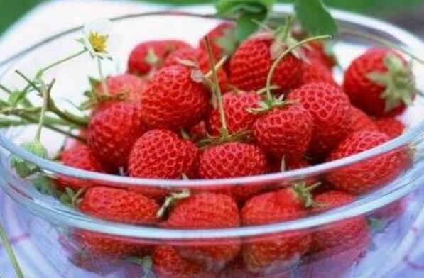 吃草莓对皮肤有什么好处