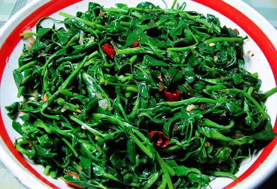 苜蓿怎么吃好哪些人不能吃苜蓿 蔬菜知识 做法 功效与作用 营养价值z Xiziwang Net