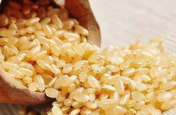 糙米怎么吃好 糙米的最佳吃法
