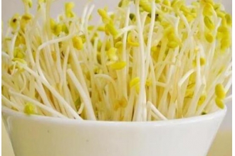 怎样生芽菜 生黄豆芽的方法