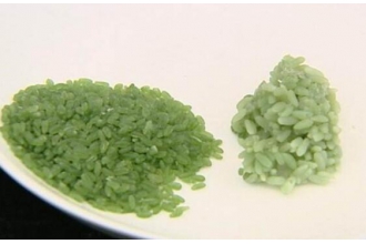 竹香米怎么蒸米饭 竹香米熬粥为什么会化