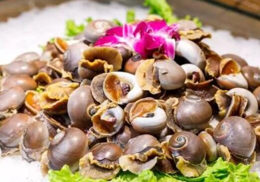 玉螺怎么吃好吃 玉螺的正确食用方法
