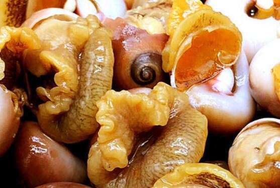玉螺怎么吃好吃 玉螺的正确食用方法