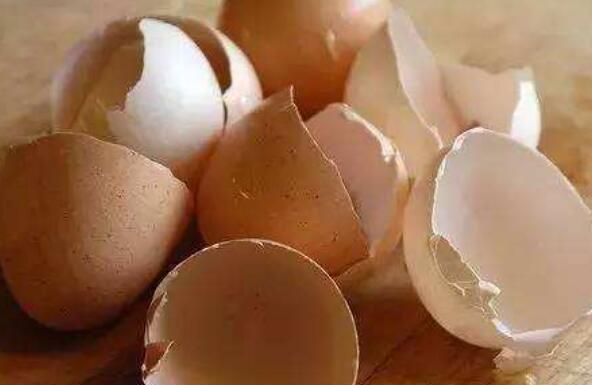 鸡蛋壳怎样去水垢 鸡蛋壳去水垢的原理