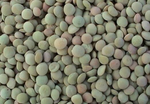 小扁豆的功效与作用 小扁豆怎么吃