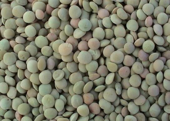 小扁豆的功效与作用 小扁豆怎么吃