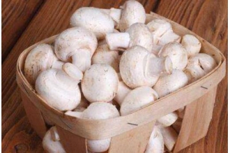 白蘑菇的做法 白