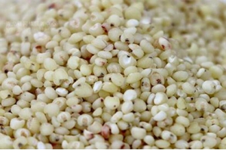 秫米与高粱米的区别 吃秫米的好处