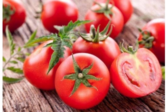 西红柿和番茄的区