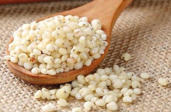 高粱米的功效与作用 高粱米怎么吃