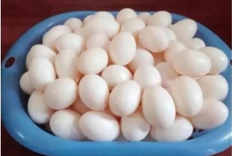 鸽子蛋怎么吃最营养 鸽子蛋的正确食用方法